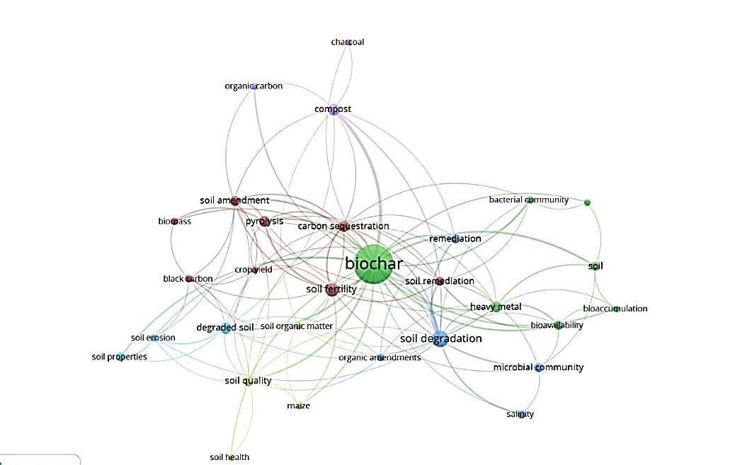 Mapa de visualización de red de VOSviewer de coocurrencia de palabras clave.